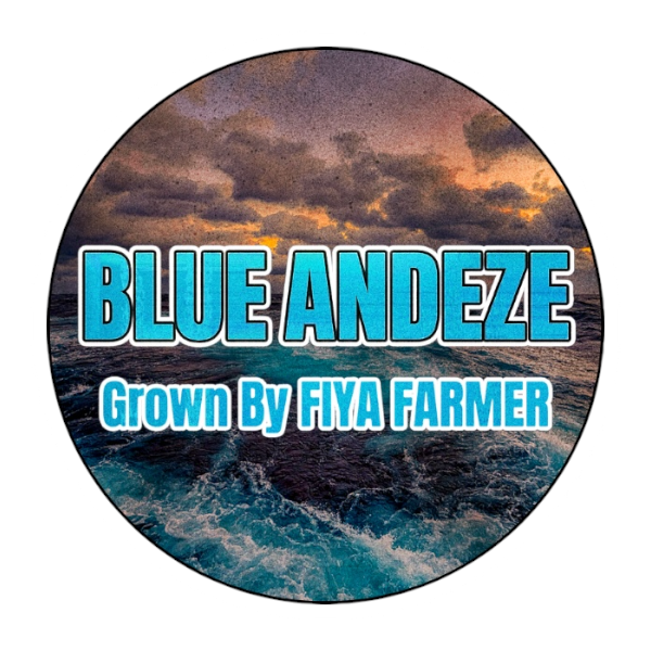 BLUE ANDEZE (7g)