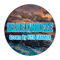 BLUE ANDEZE (7g)