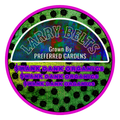LARRY BELTS (14g)