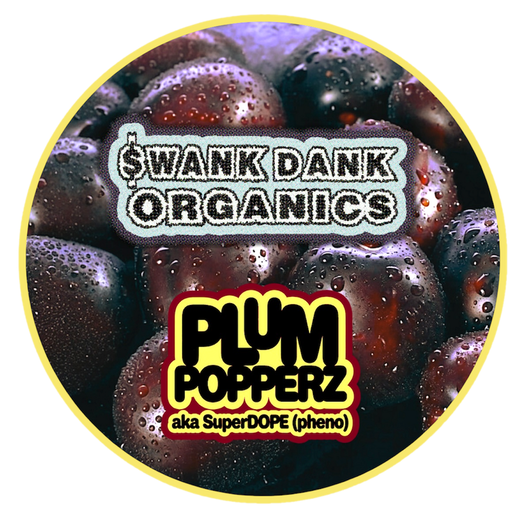 PLUM POPPERZ