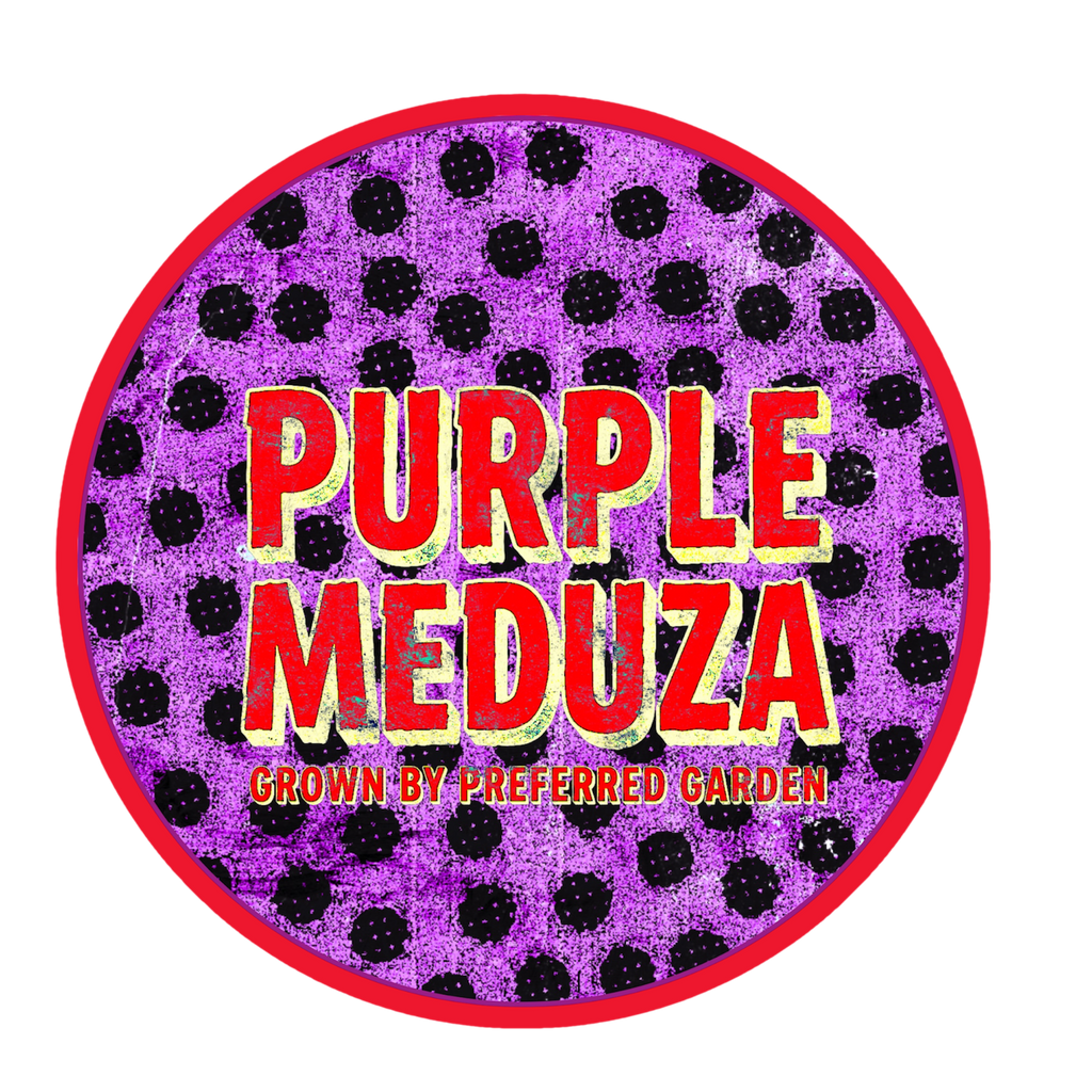 PURPLE MEDUZA (7g)
