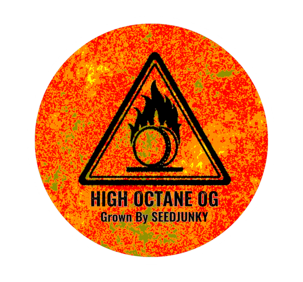 HIGH OCTANE OG
By Seedjunky (8G)
