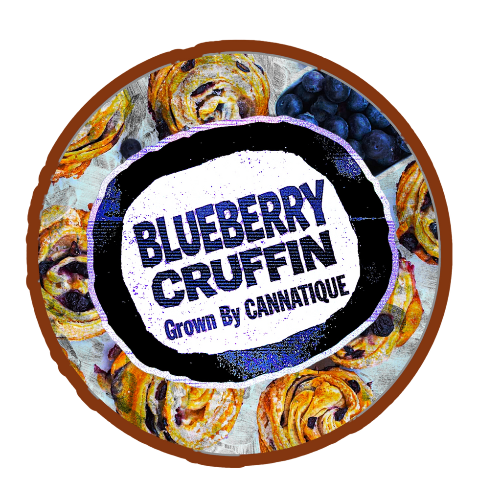 Blueberry Cruffin ⭐️