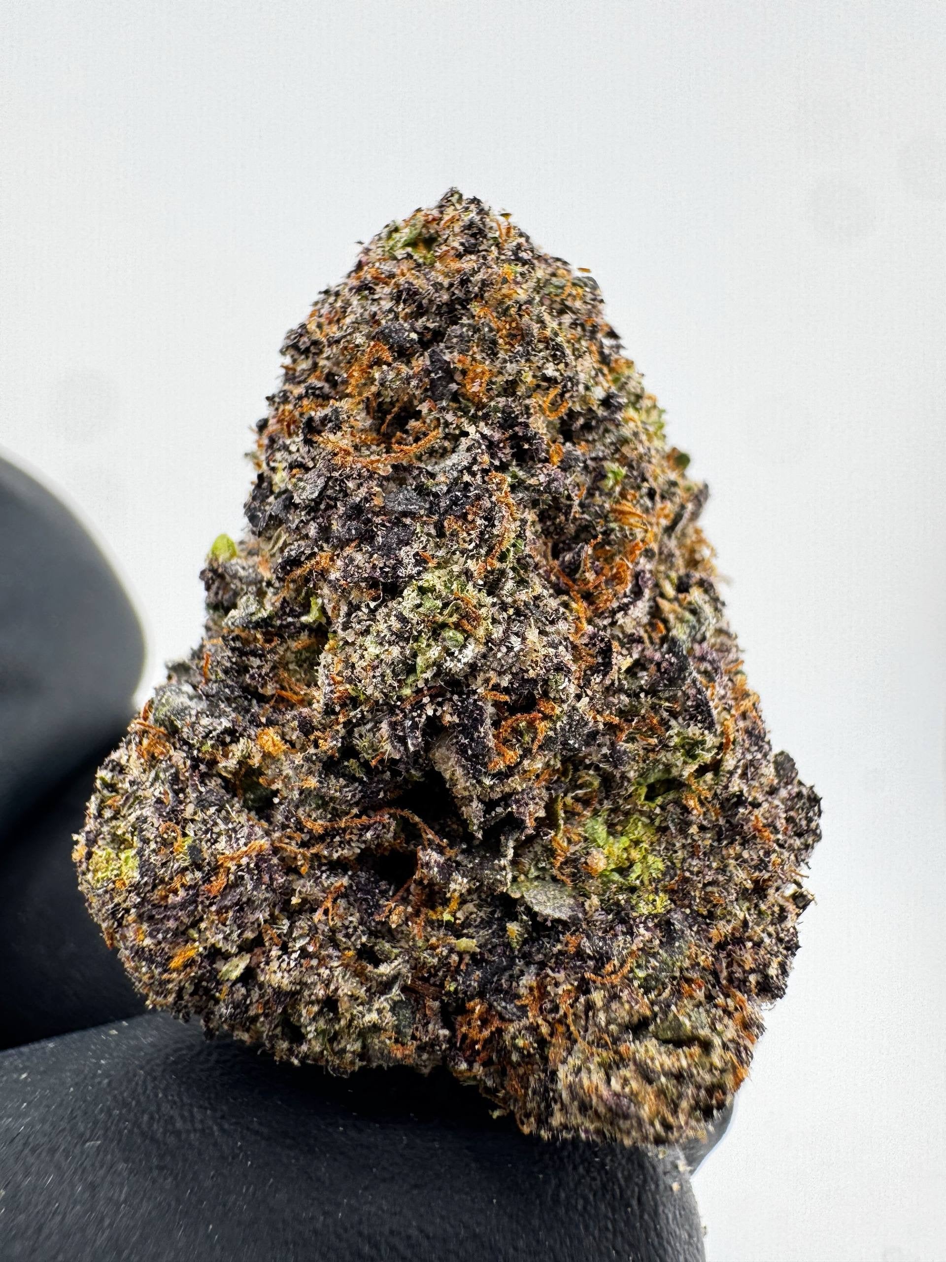 BERRY COOLER
