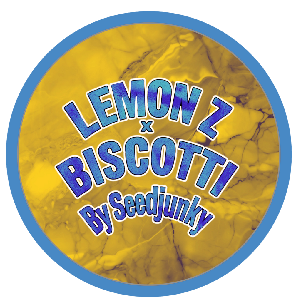 LEMON Z x BISCOTTI (7g)