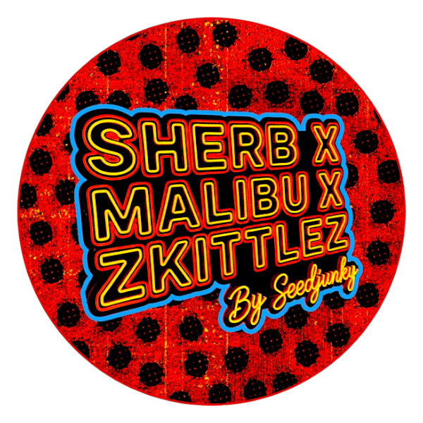 SHERB x MALIBU x ZKITTLEZ ⭐️