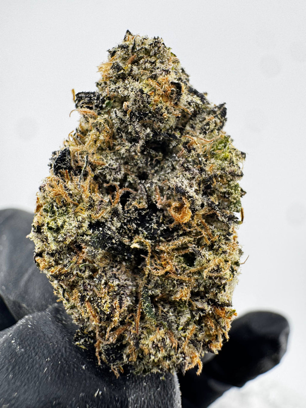 Jolly Rancher