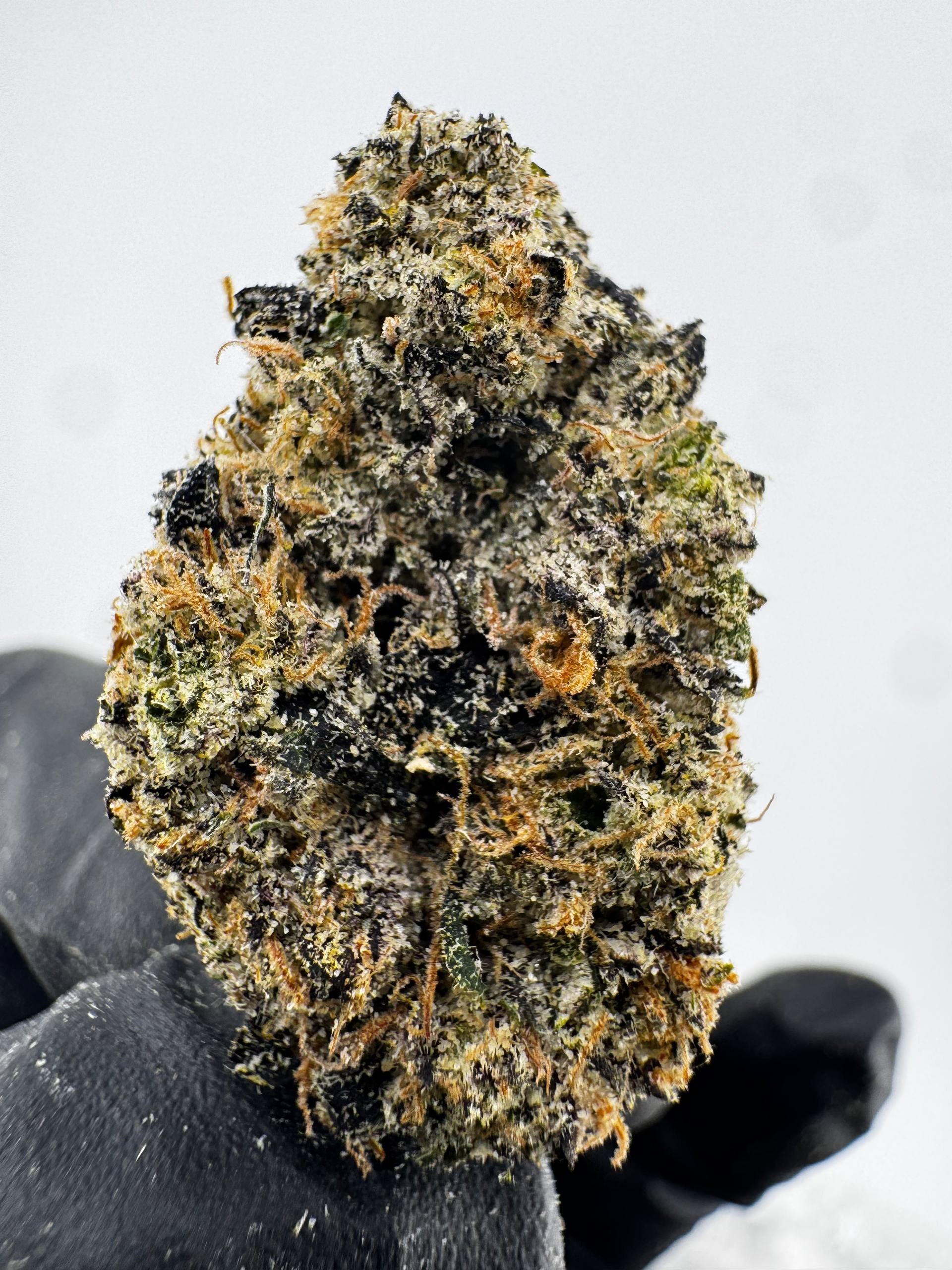Jolly Rancher