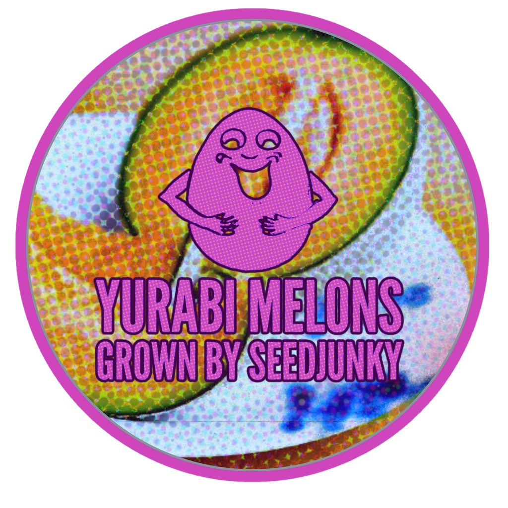 YUBARI MELONS
By Seedjunky (7G)