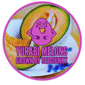 YUBARI MELONS
By Seedjunky (7G)
