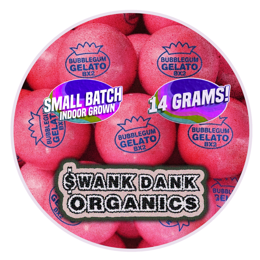 BUBBLEGUM GELATO Bx2