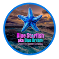 Blue Starfish ⭐️