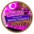 SHANGRI-LA ⭐️