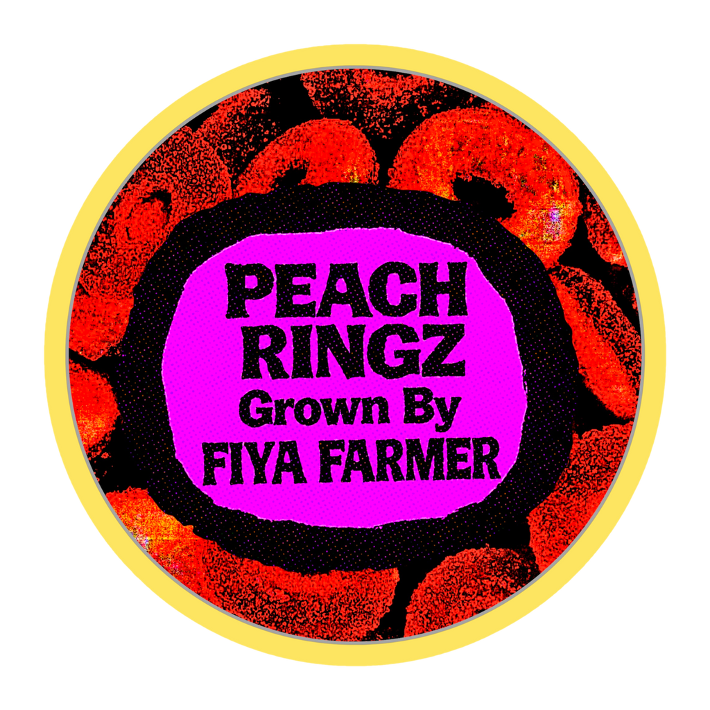 PEACH RINGZ (7G)