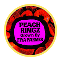 PEACH RINGZ (7G)