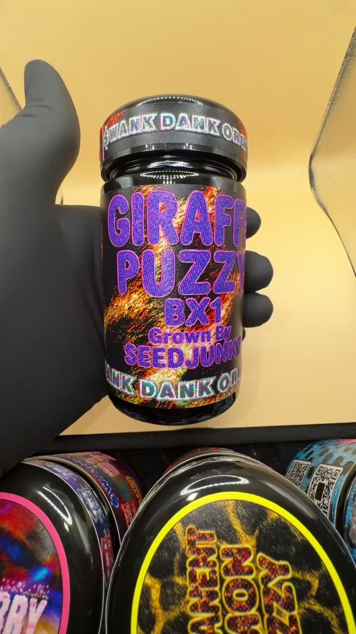 GIRAFFE PUZZY Bx1 (7g)