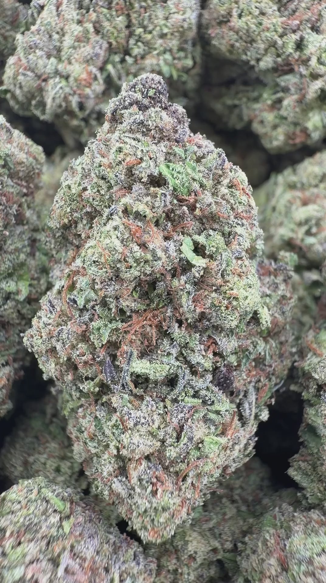 GAS CANDY