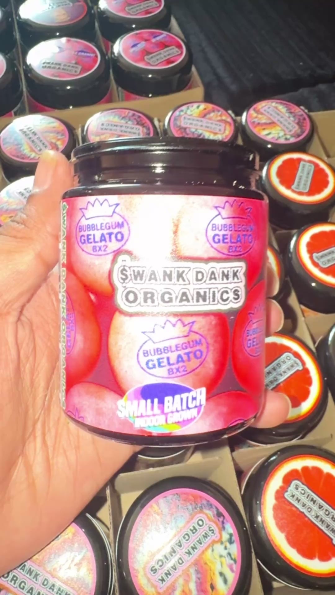 BUBBLEGUM GELATO Bx2