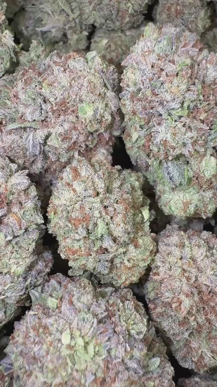 SUNDAE DRIVER