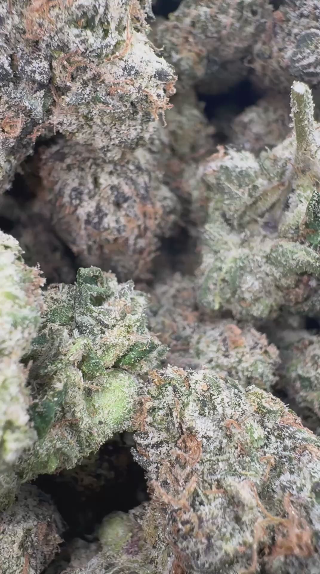 Jolly Rancher