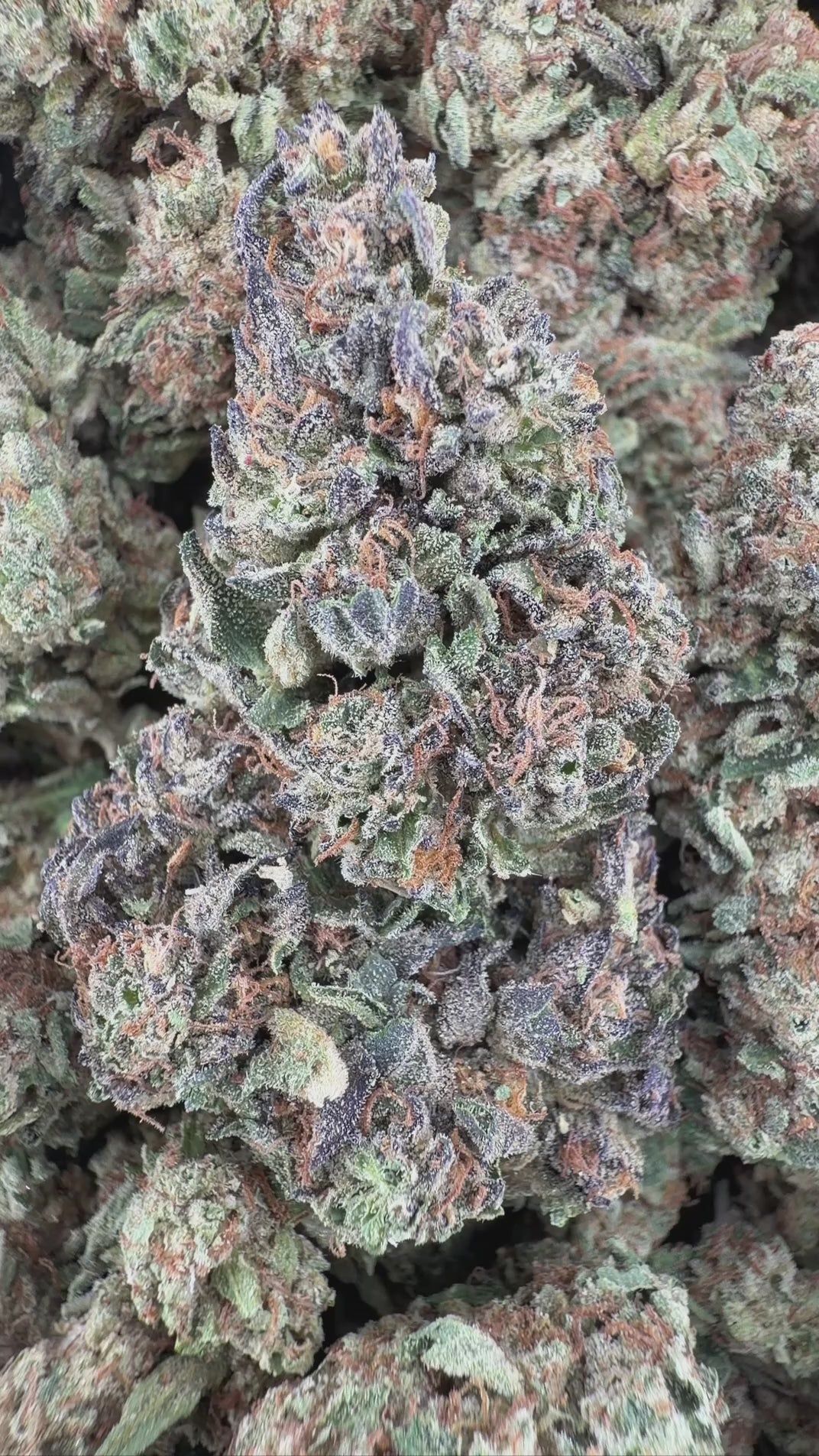 BANANA PASSIONFRUIT