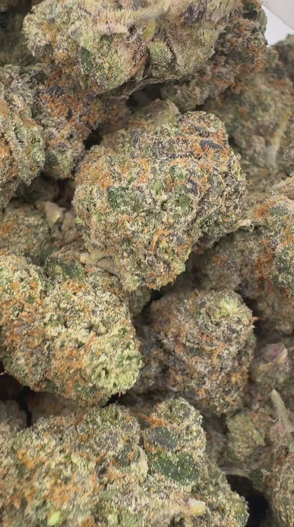 RUNTZ x OG