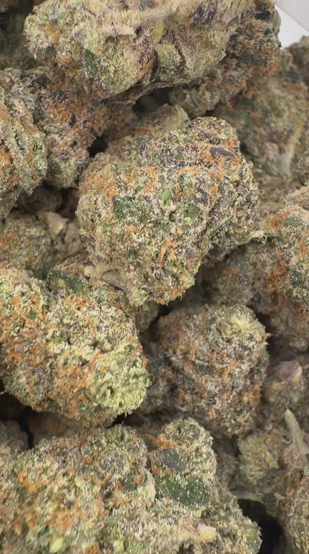 RUNTZ x OG