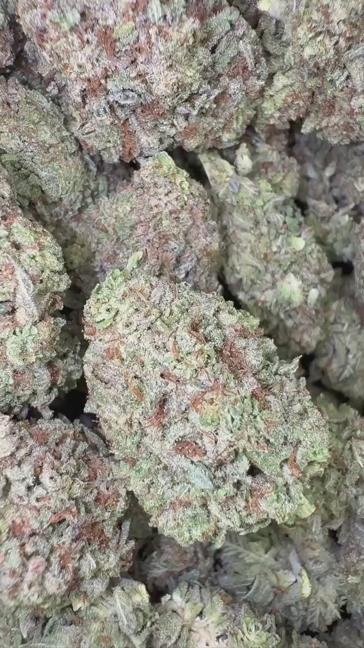 ORANGE CREAM