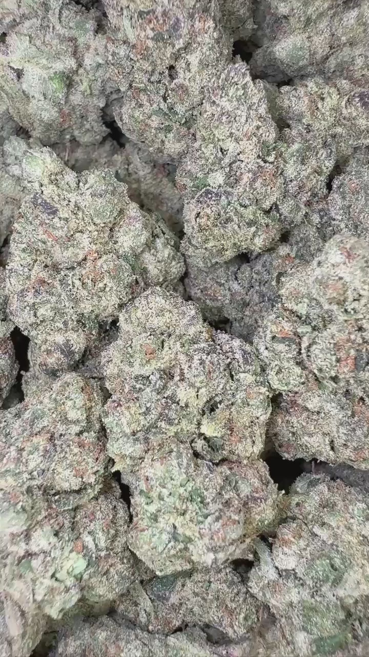 CANDY GELATO