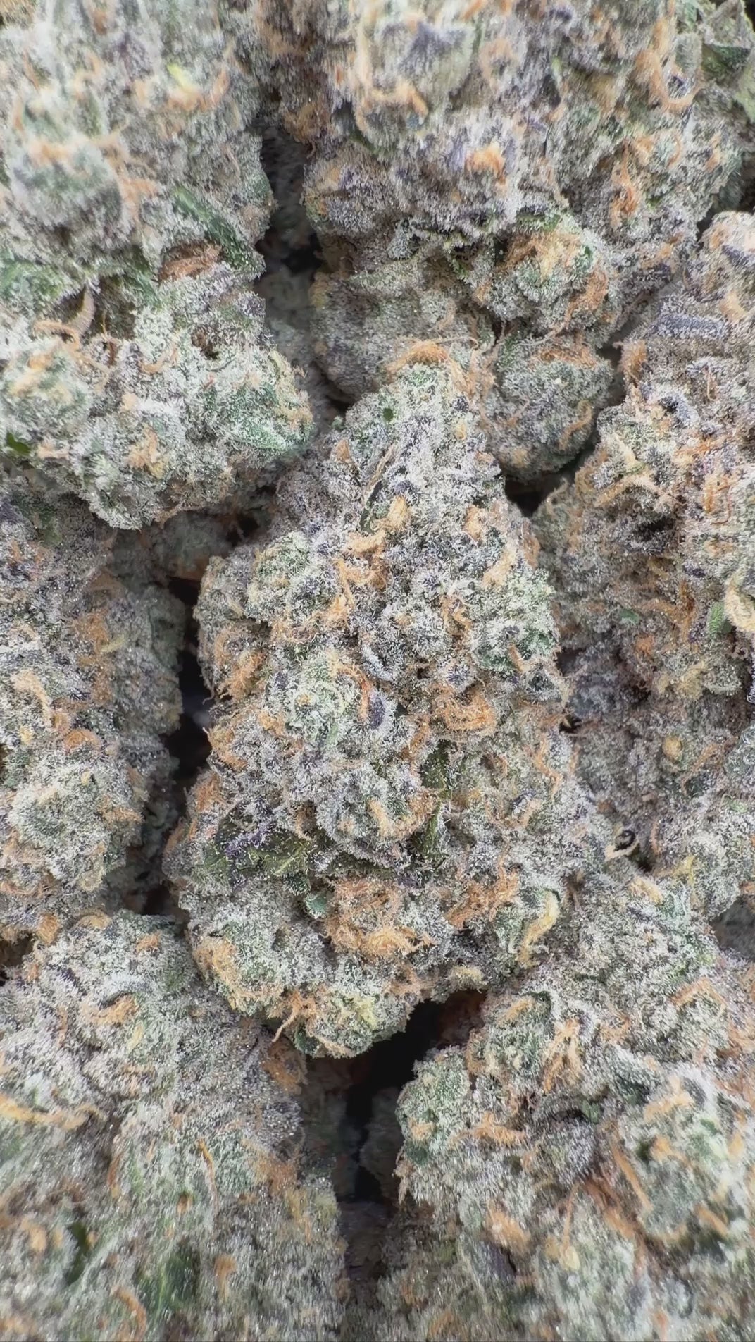 HORCHATA