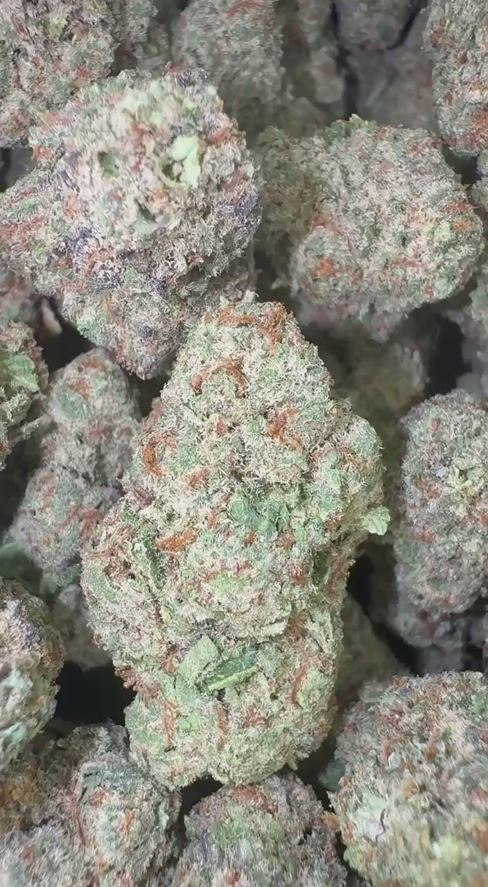 LEMON POPPERZ